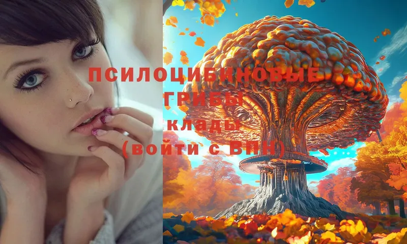 Галлюциногенные грибы Magic Shrooms  Абинск 